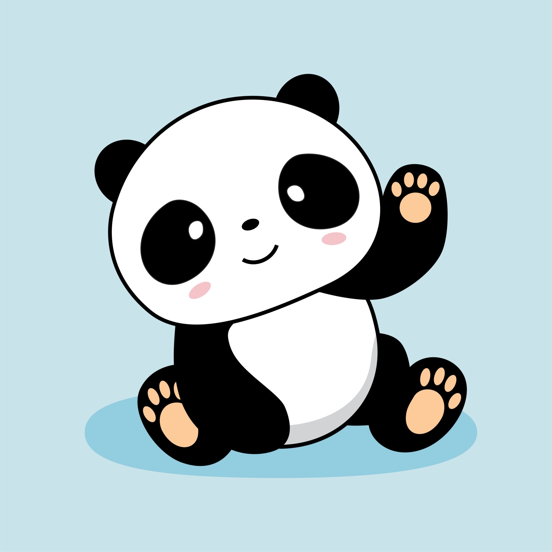 Panda Picture